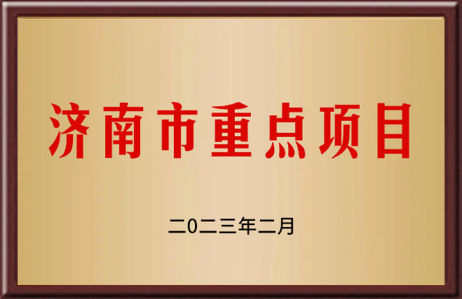 济南市重点项目