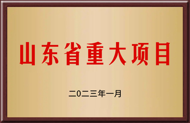 山东省重大项目