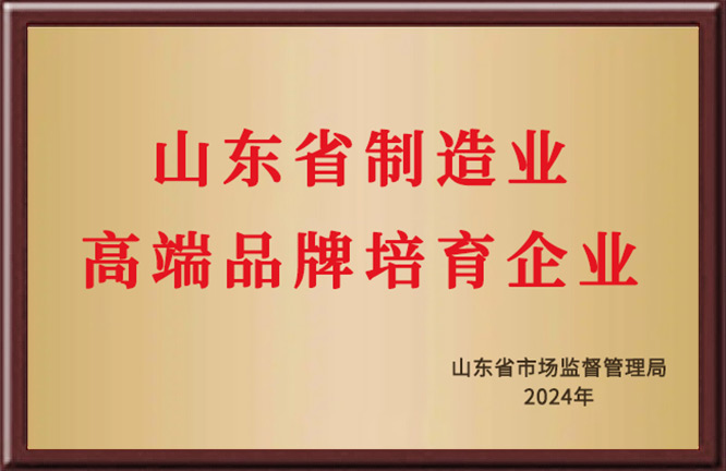 山东高端品牌培育企业