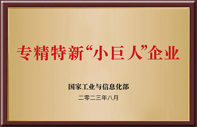 专精特新“小巨人”企业