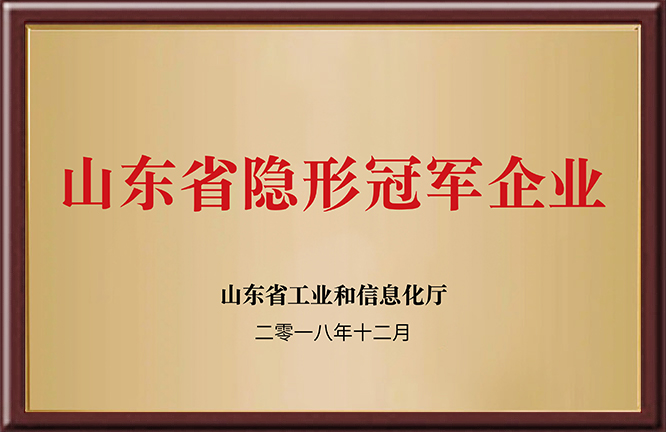 山东省隐形冠军企业
