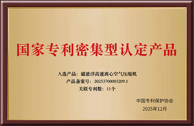 国家专利密集型认定产品11个